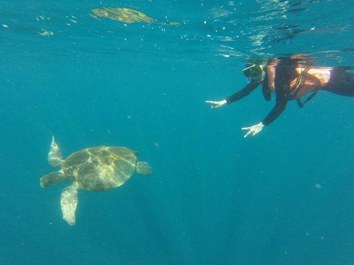 Sipadan Micro Dive Otel Mabul Island Dış mekan fotoğraf